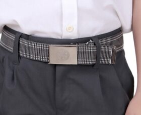 The Presidium School BELT
