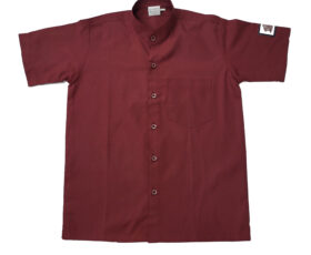 THE INDIAN SCHOOL SHIRT H/S