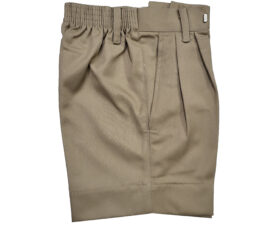 The Indian School Shorts ( class 1st to class 5th )