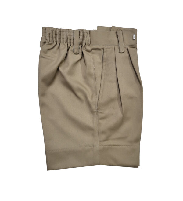 The Indian School Shorts ( class 1st to class 5th )