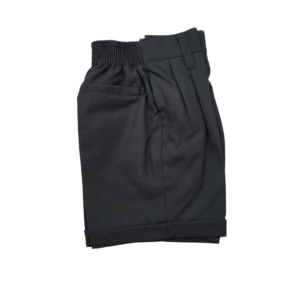 The Presidium School Shorts