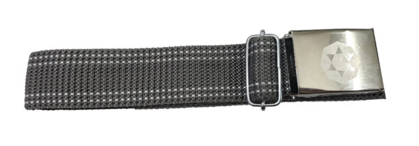 The Presidium School BELT