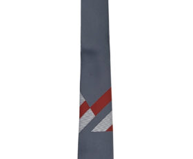 The Presidium School Tie