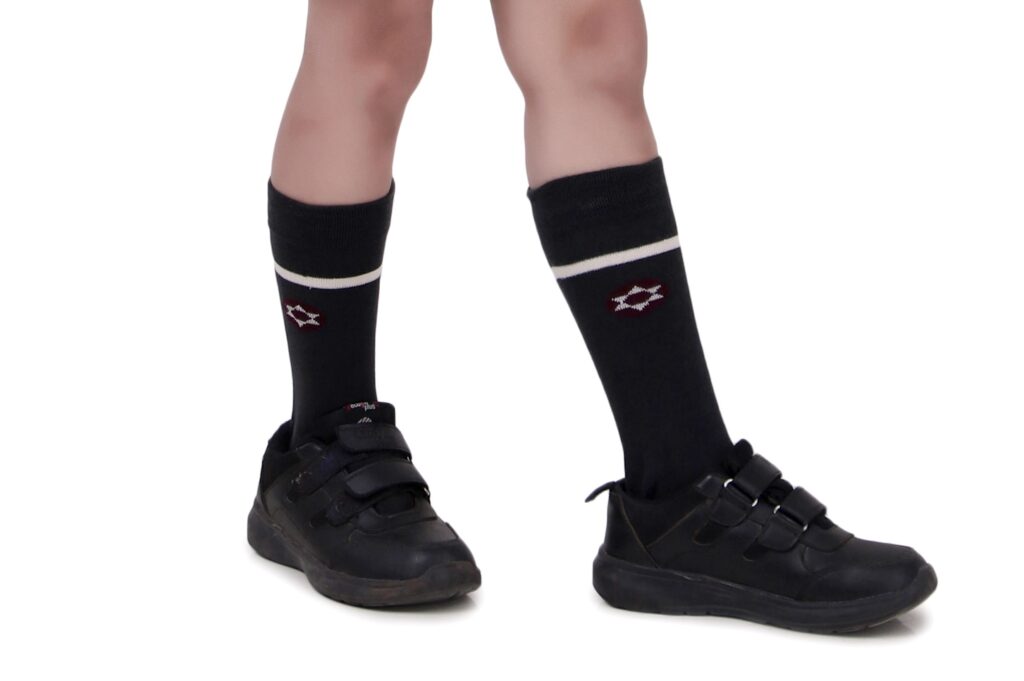The Presidium School Socks